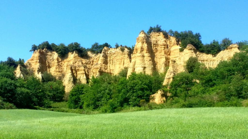 Agriturismo Antico Borgo Poggitazzi 로로시우펜나 외부 사진